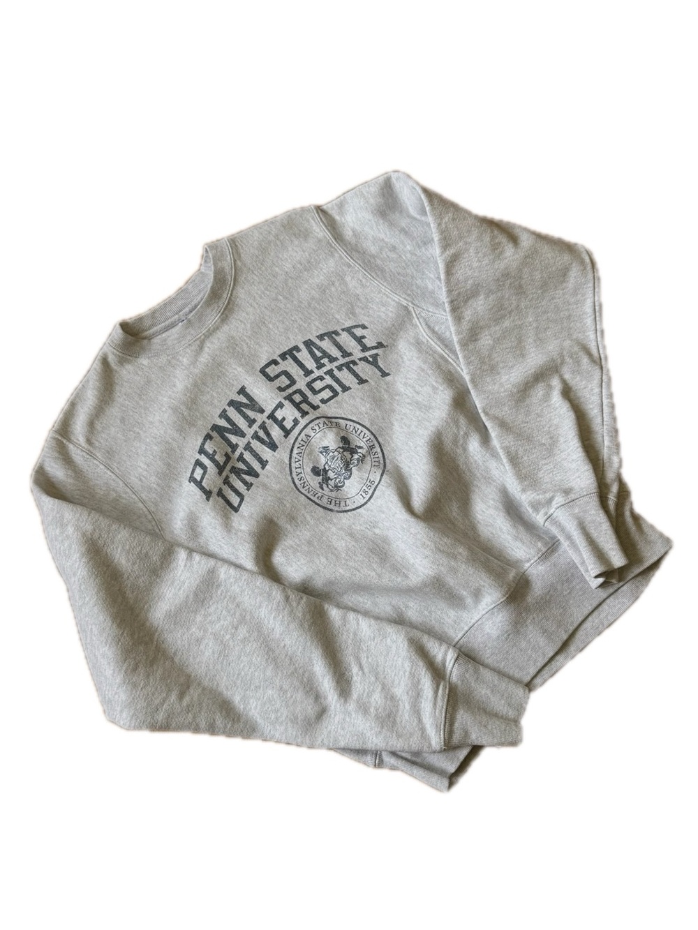 Champion Vintage Reverse Weave Penn State University Size XS Gray Sweatshirt